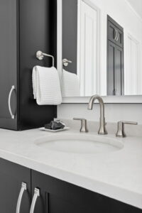 Black Cabinetry Bathroom Interior Design