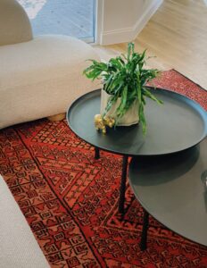 Orange And Red Area Rug Living Room
