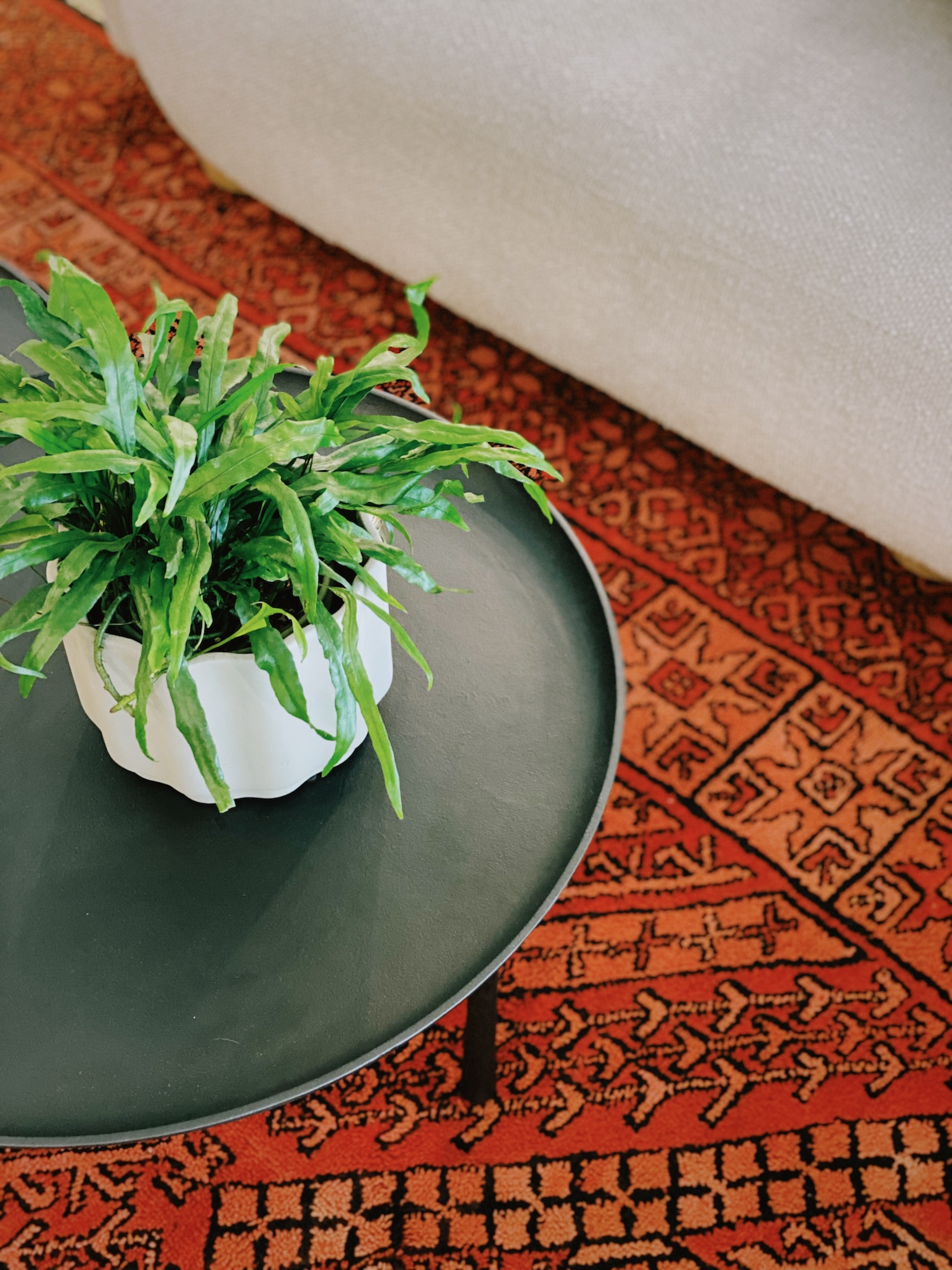 Orange Red Black Living Room Area Rug